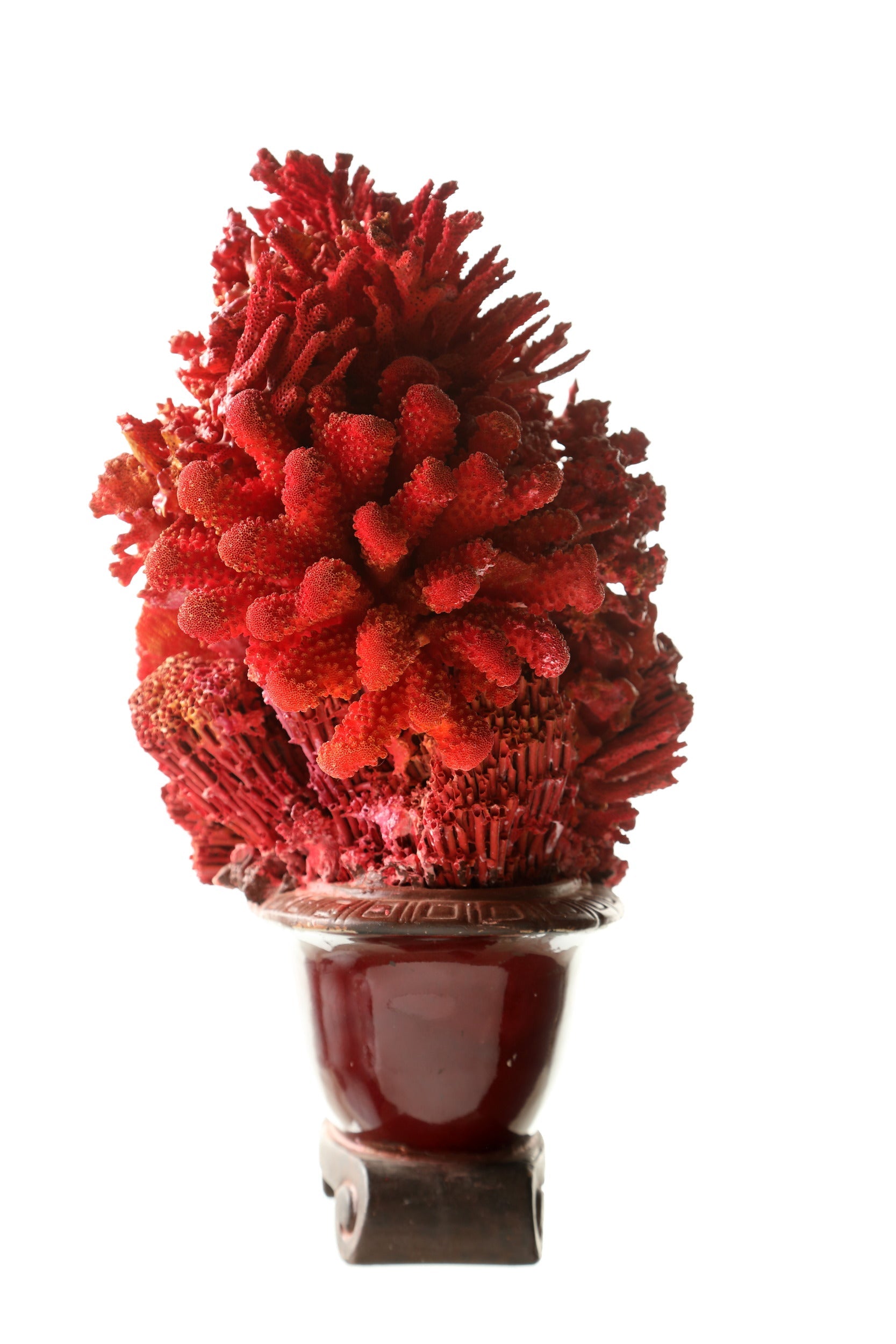 Coral composition oriental vase