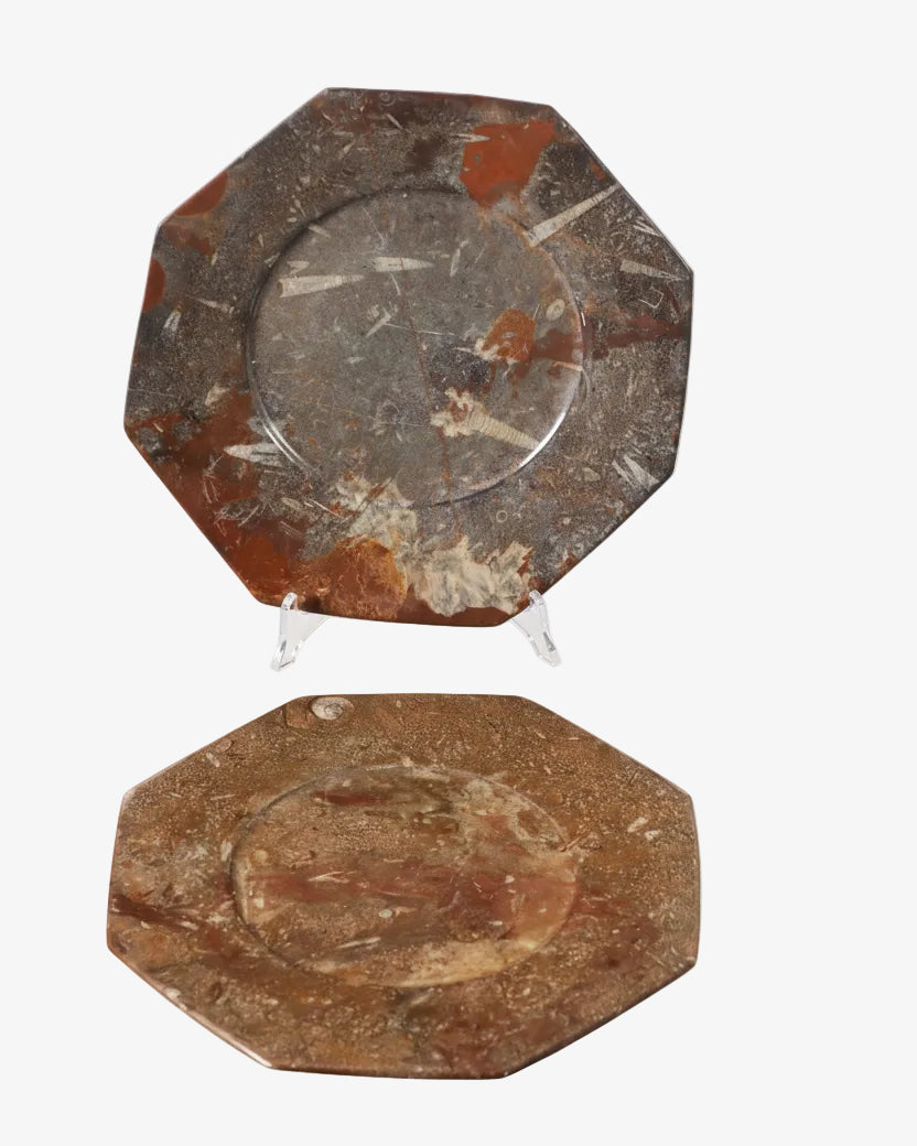 Pair of stone and fossil plates from the 70s