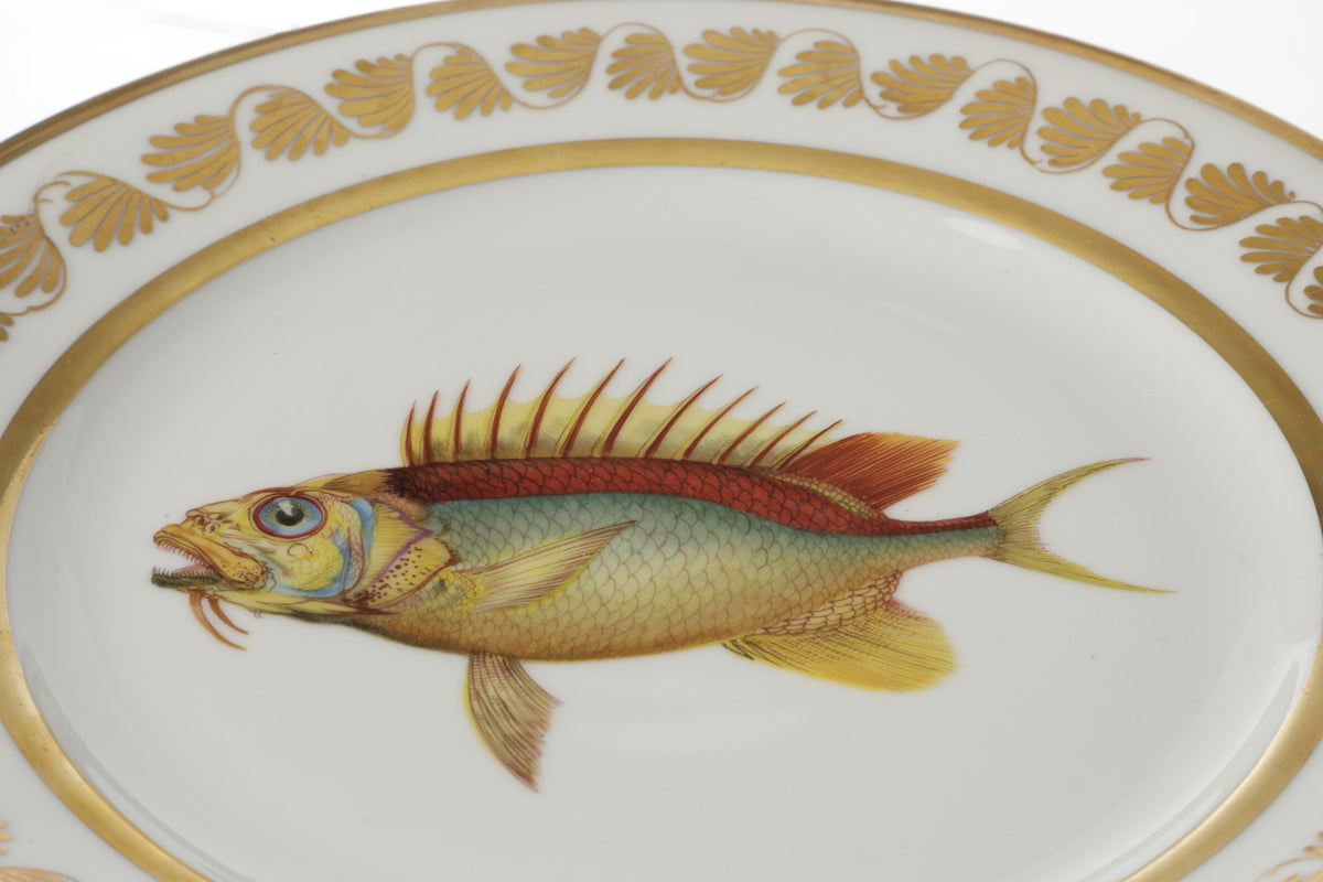 Pair of 19th-century Sèvres porcelain plates with fish motifs