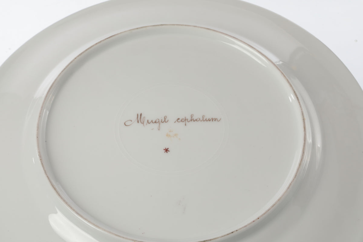 Pair of 19th-century Sèvres porcelain plates with fish motifs
