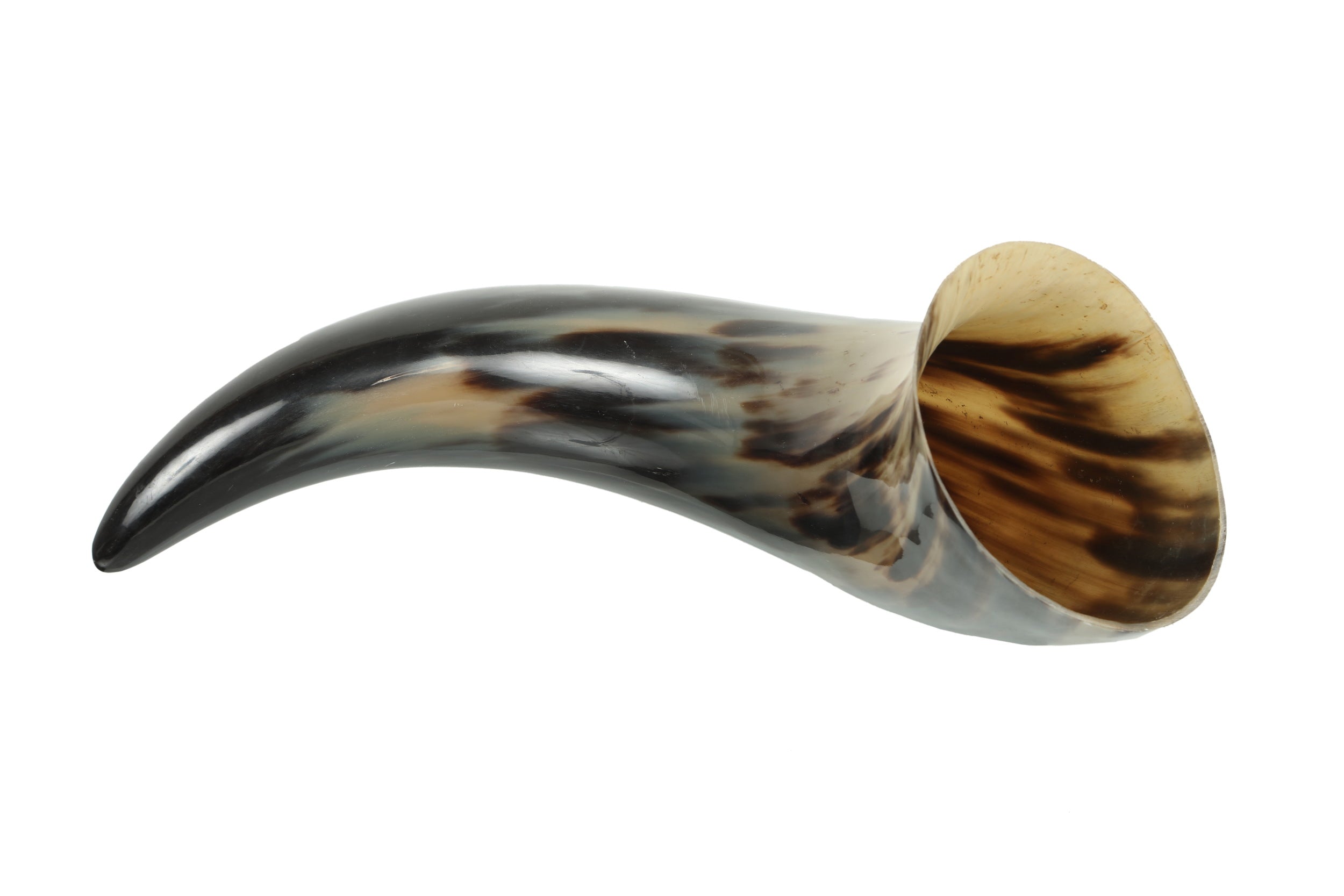 Horn cornucopia