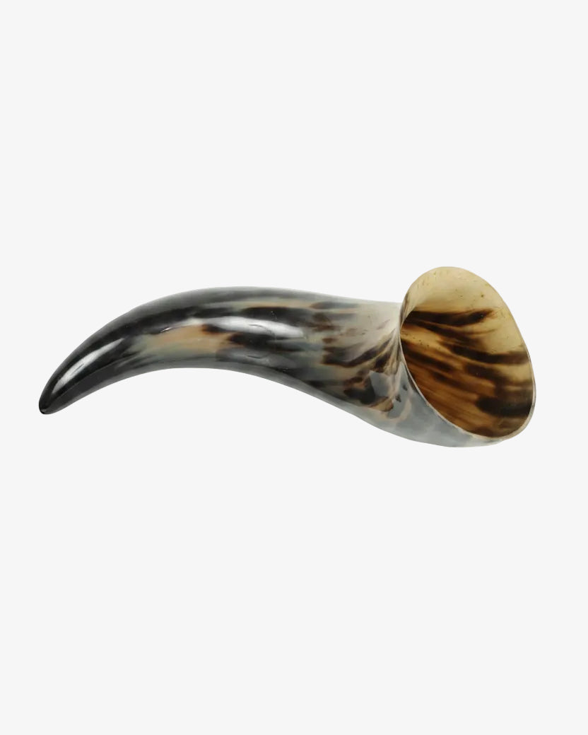 Horn cornucopia