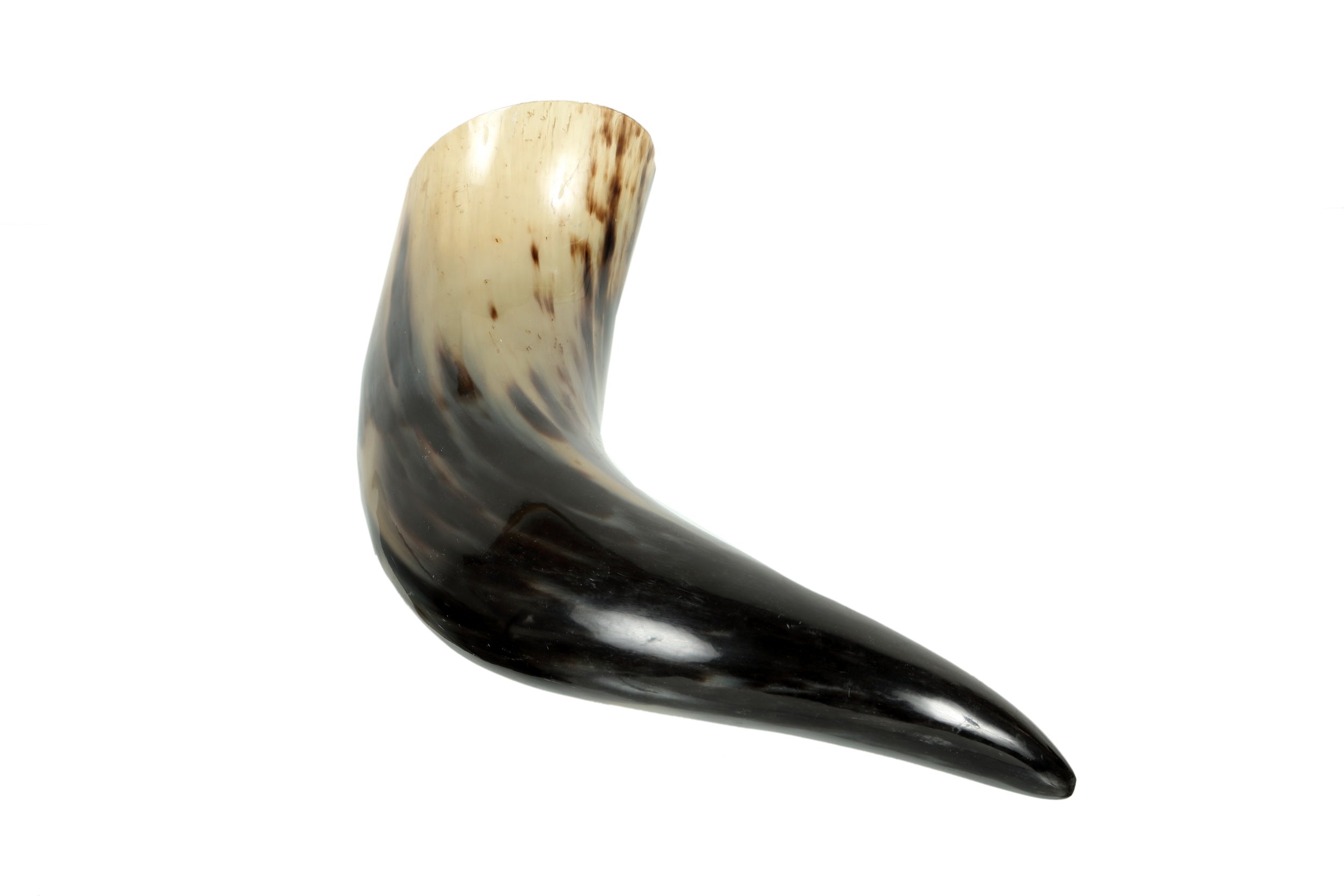 Horn cornucopia