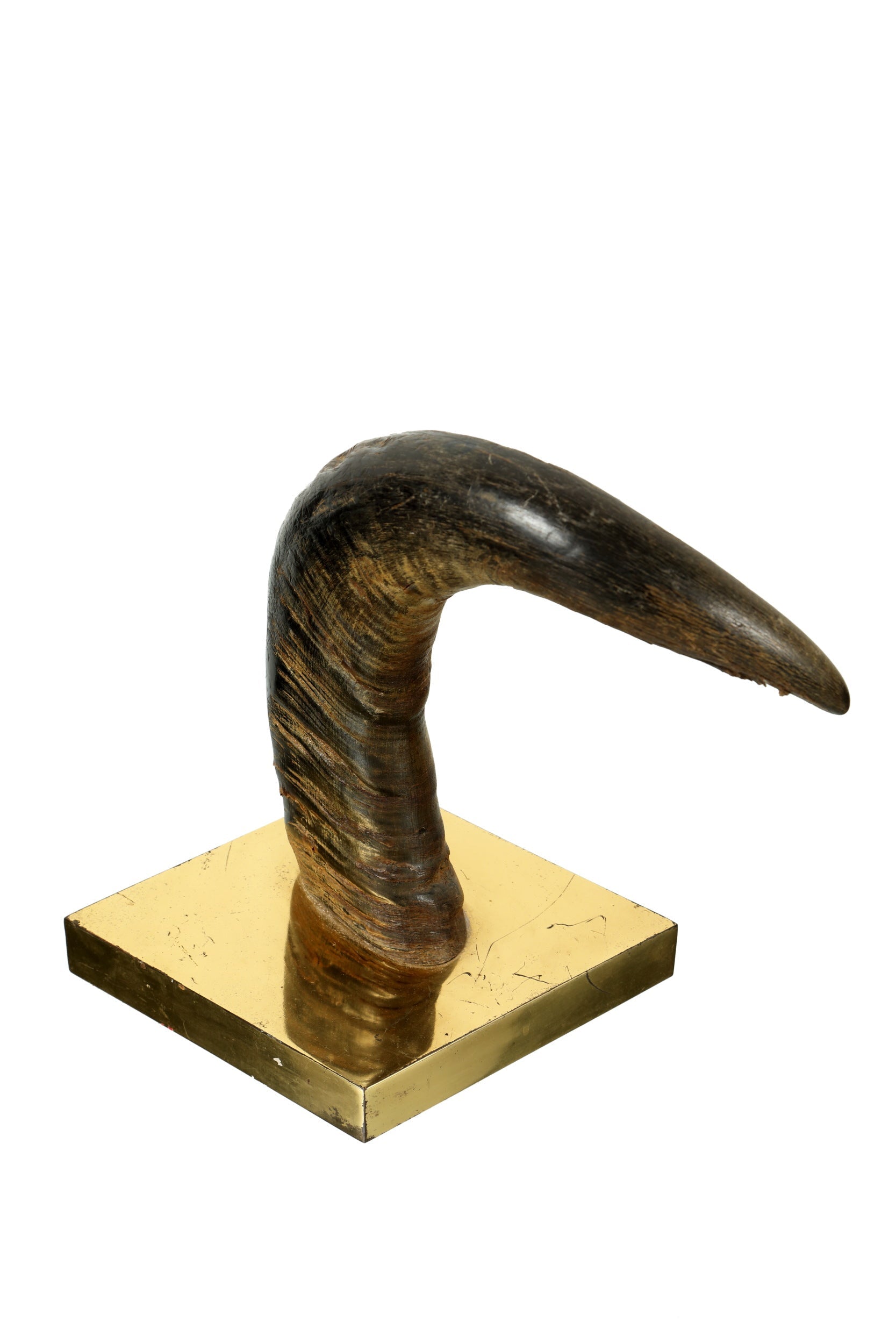 Gabriella Crespi horn sculpture from the 70s