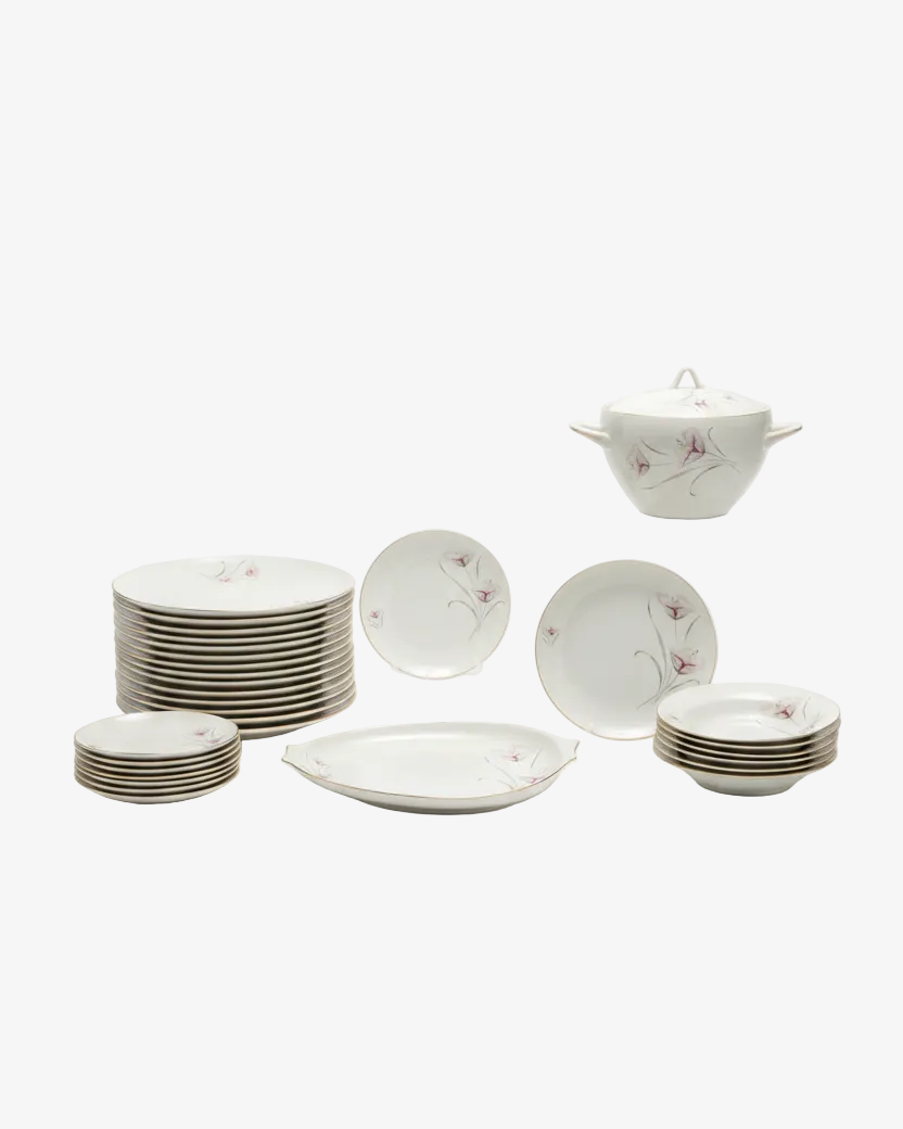 Decorated porcelain dinner service from the 50s