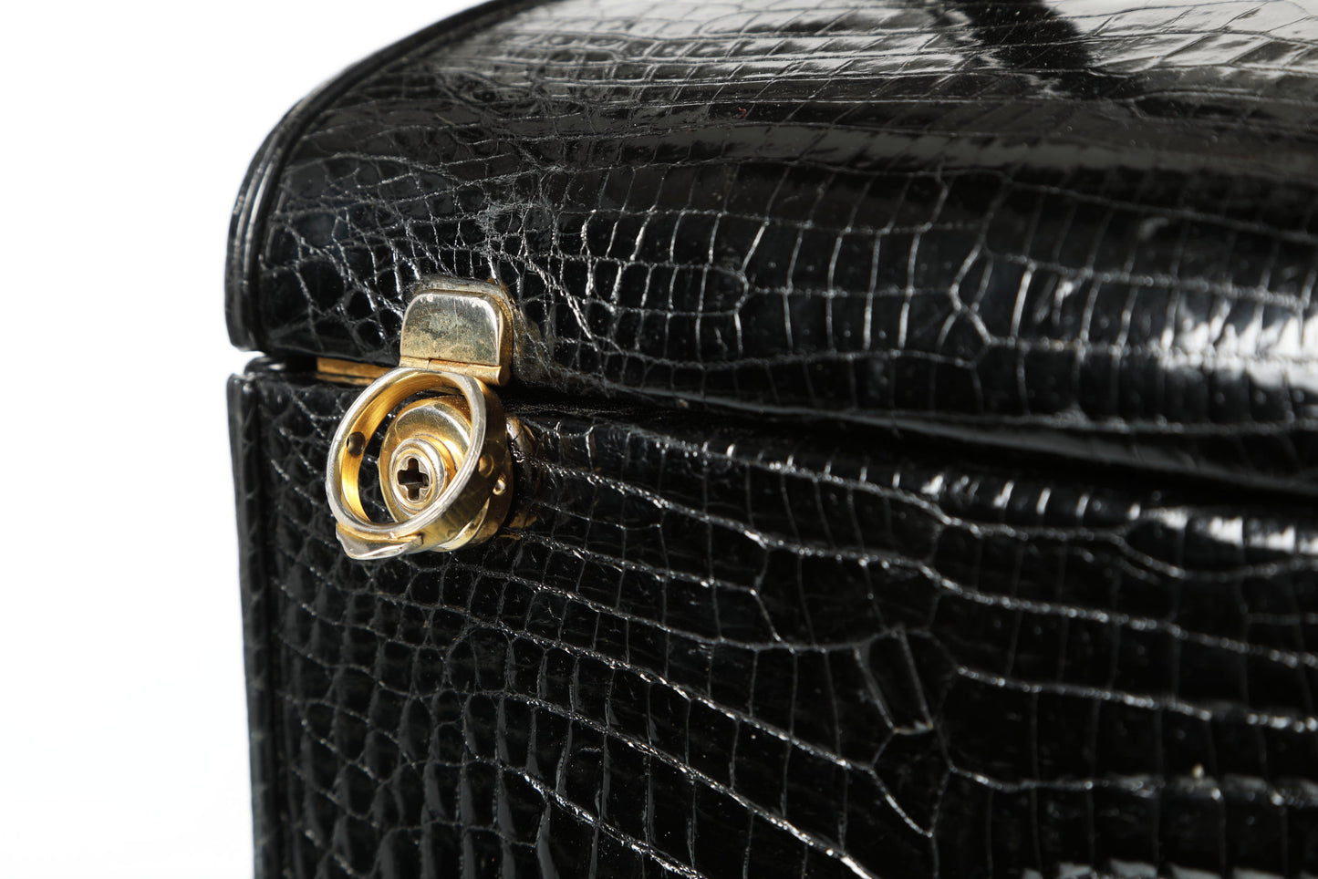 Beauty Fendi in black crocodile