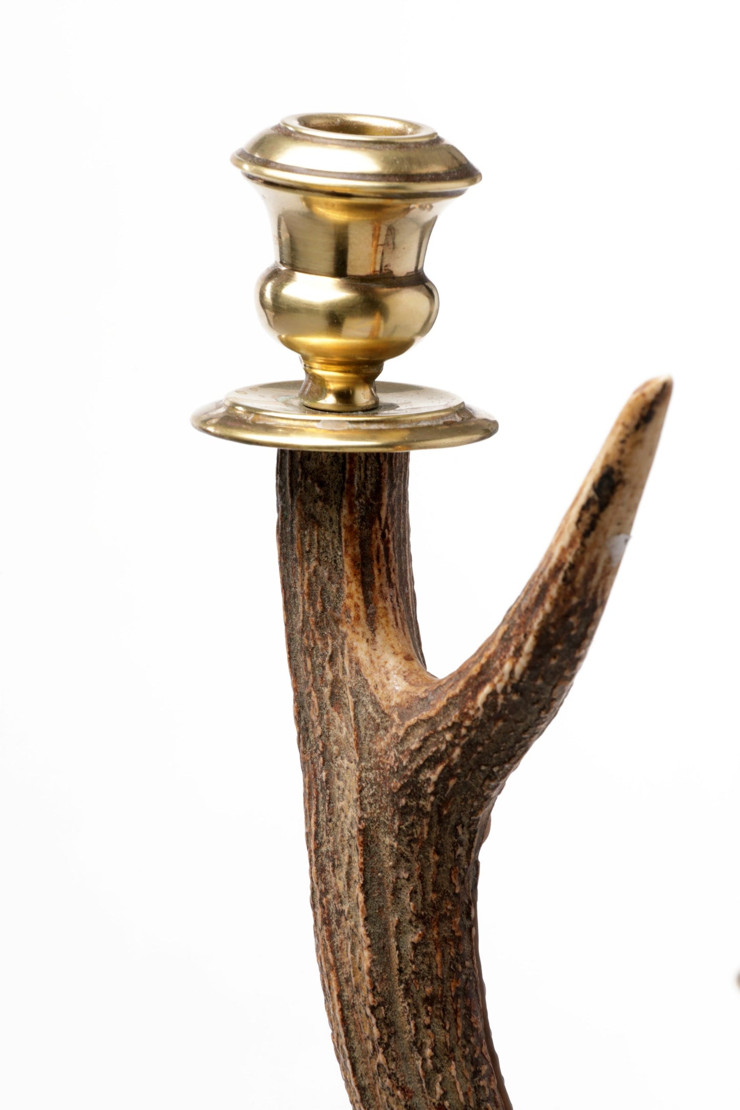 Horn candlestick from the 70s