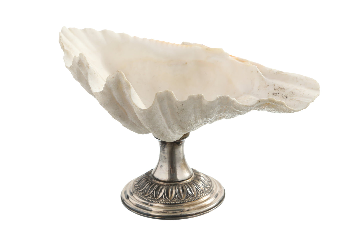 Shell centerpiece with silver base