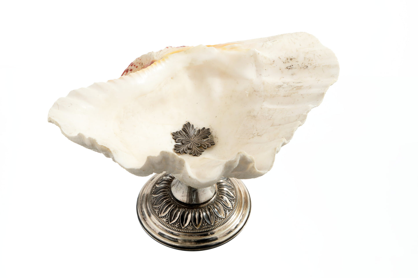 Shell centerpiece with silver base