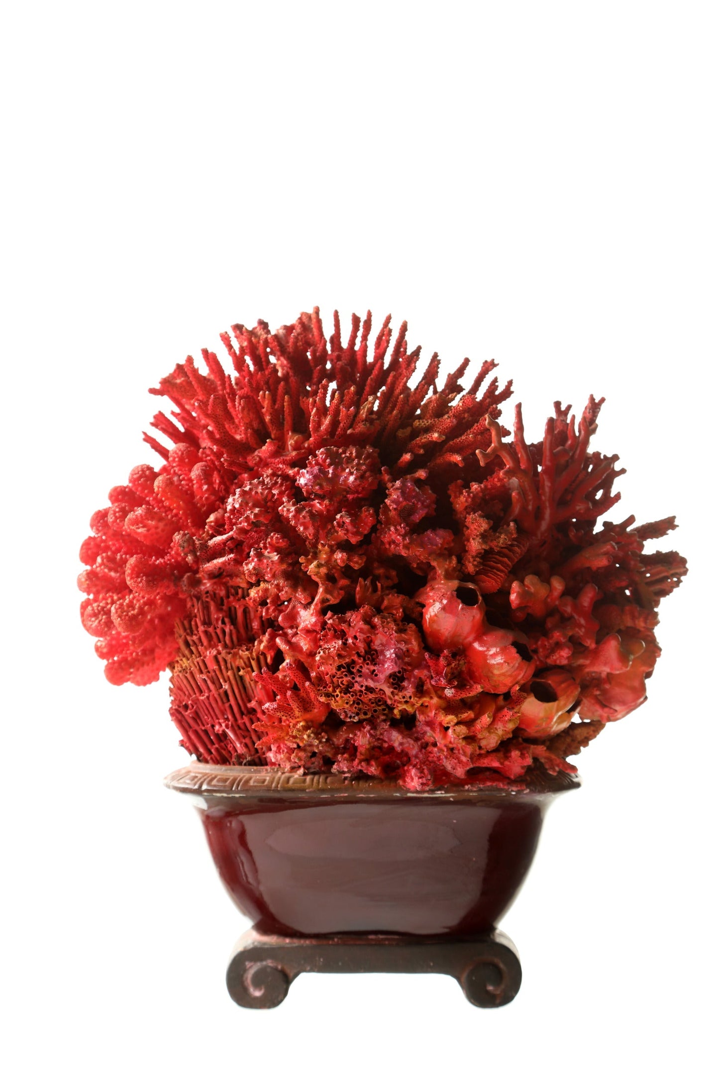 Coral composition oriental vase