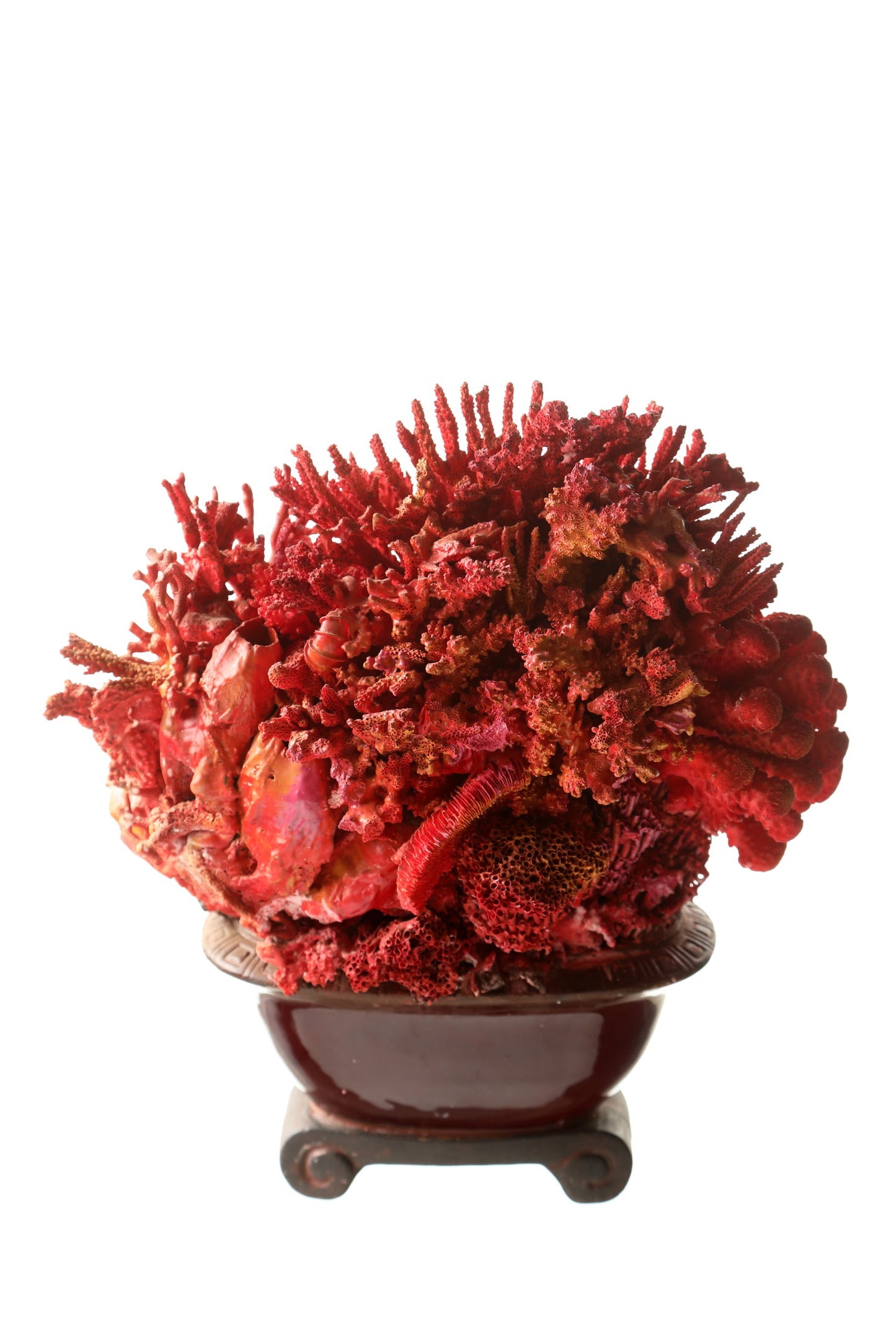 Coral composition oriental vase