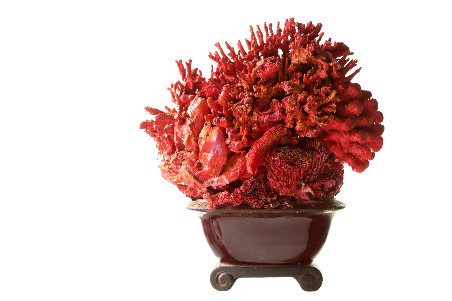 Coral composition oriental vase