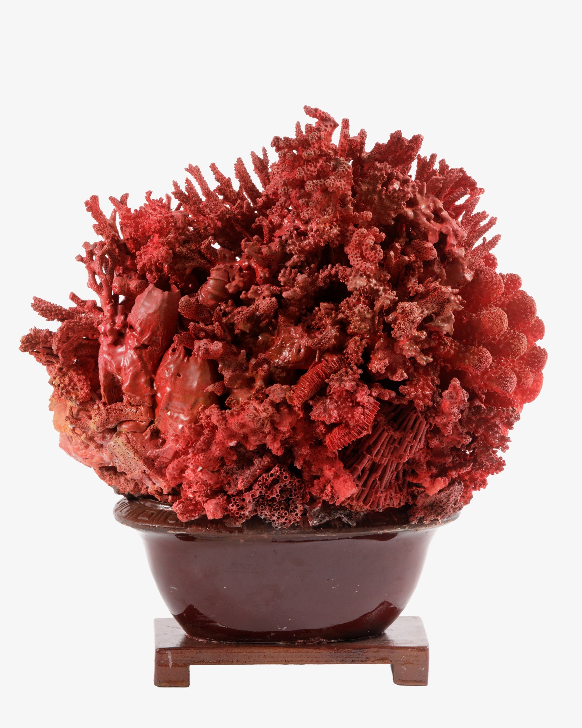 Coral composition oriental vase