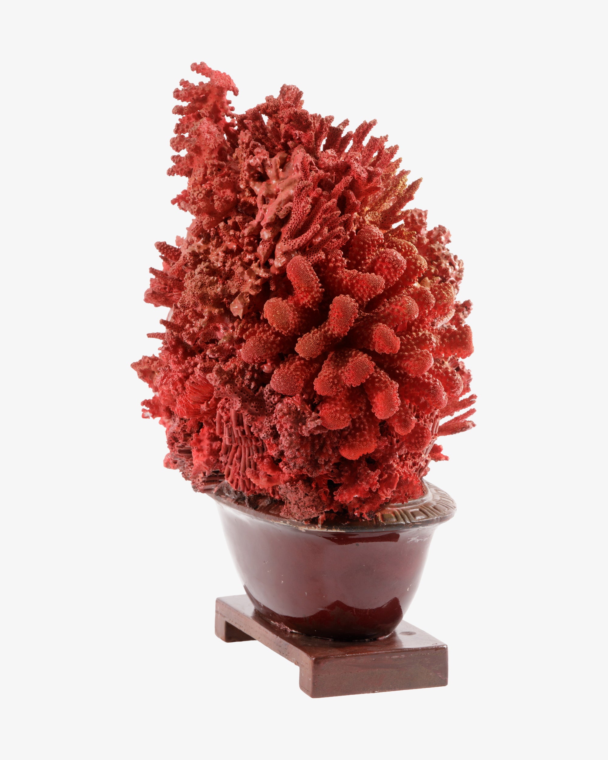 Composizione Corallo vaso orientale anni 60