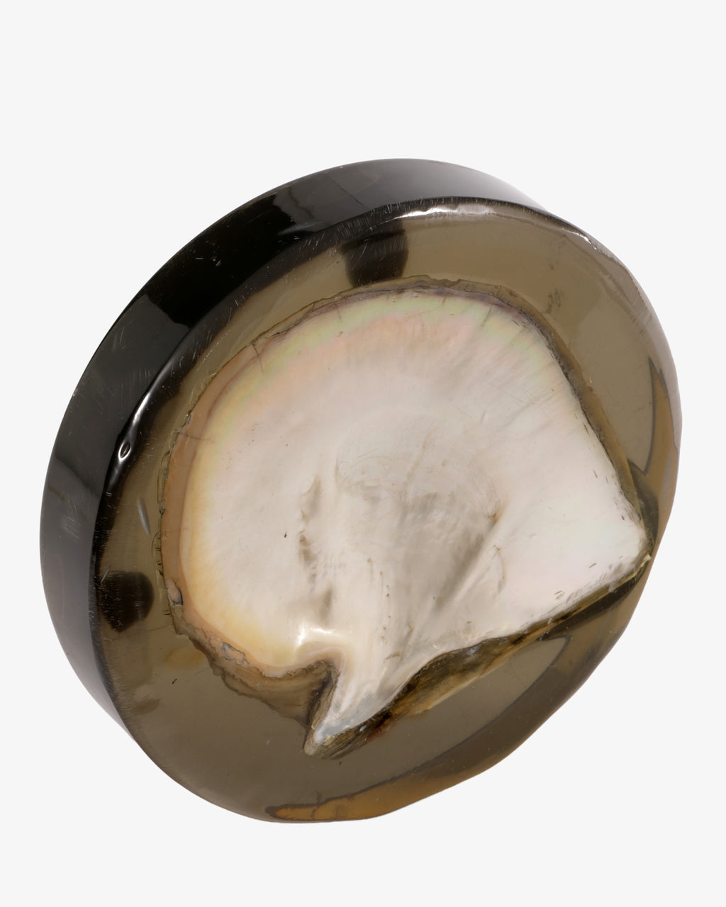 Conchiglia affogata nel plexiglass fume anni 70