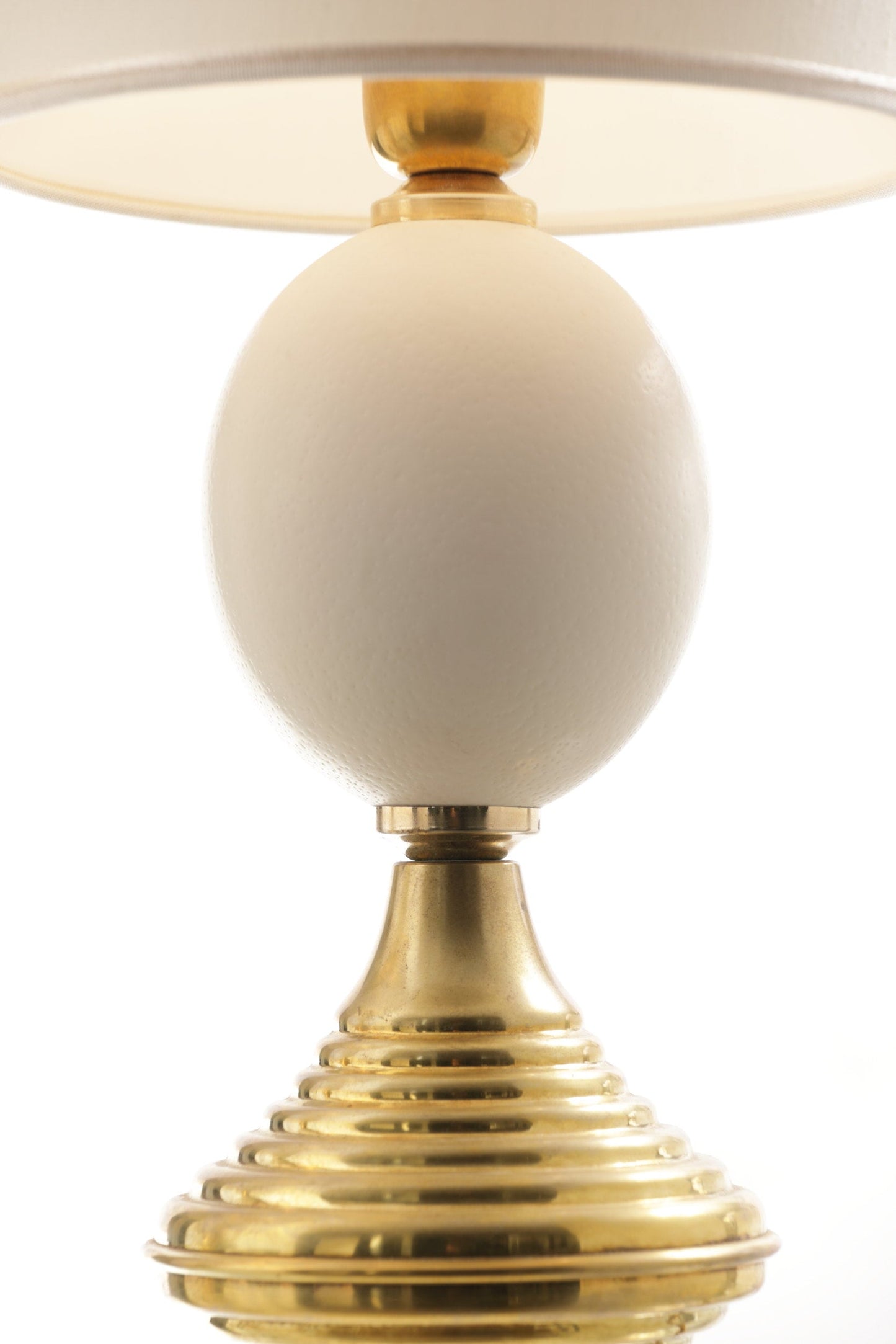 Pair of ostrich egg lamps