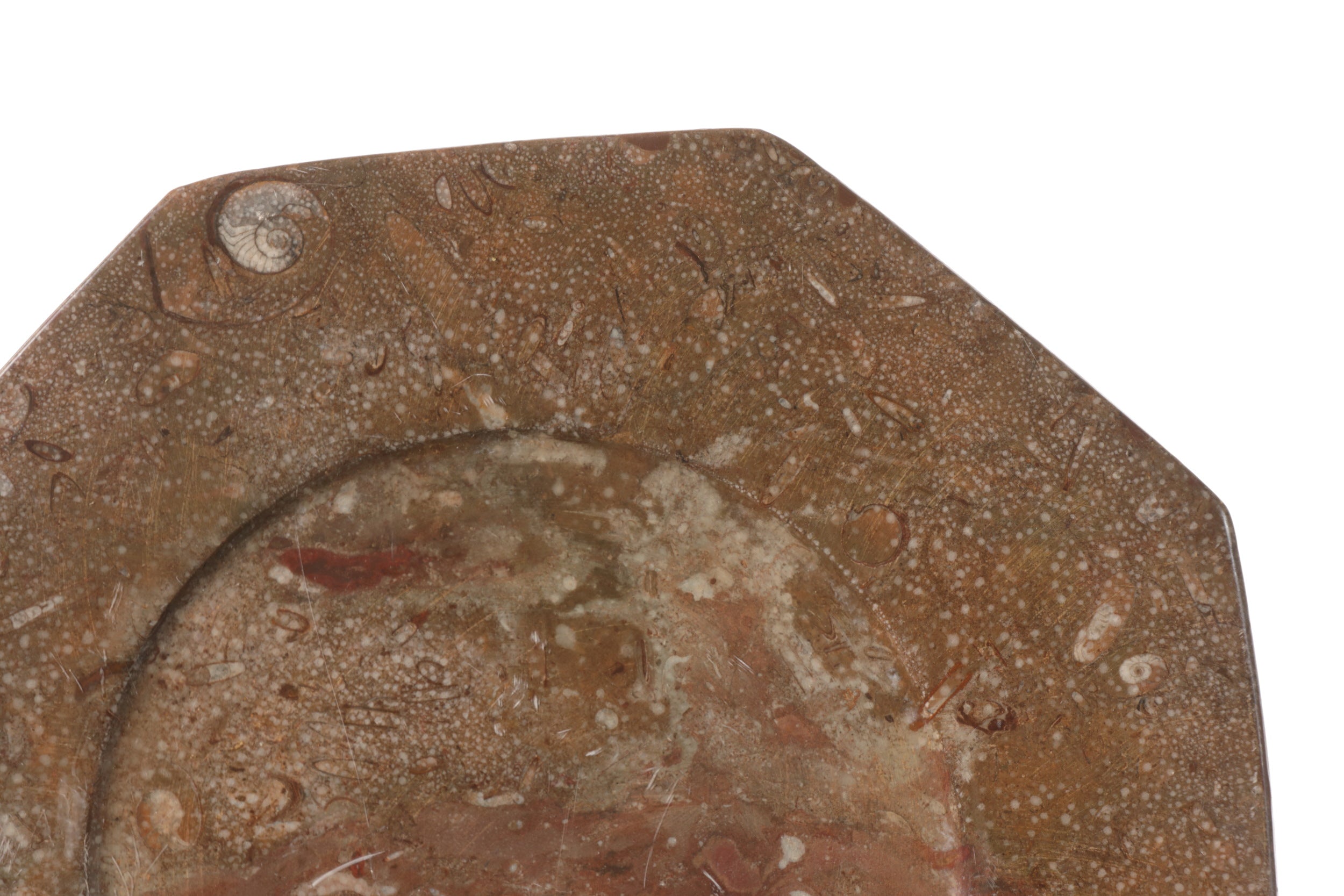 Pair of stone and fossil plates from the 70s