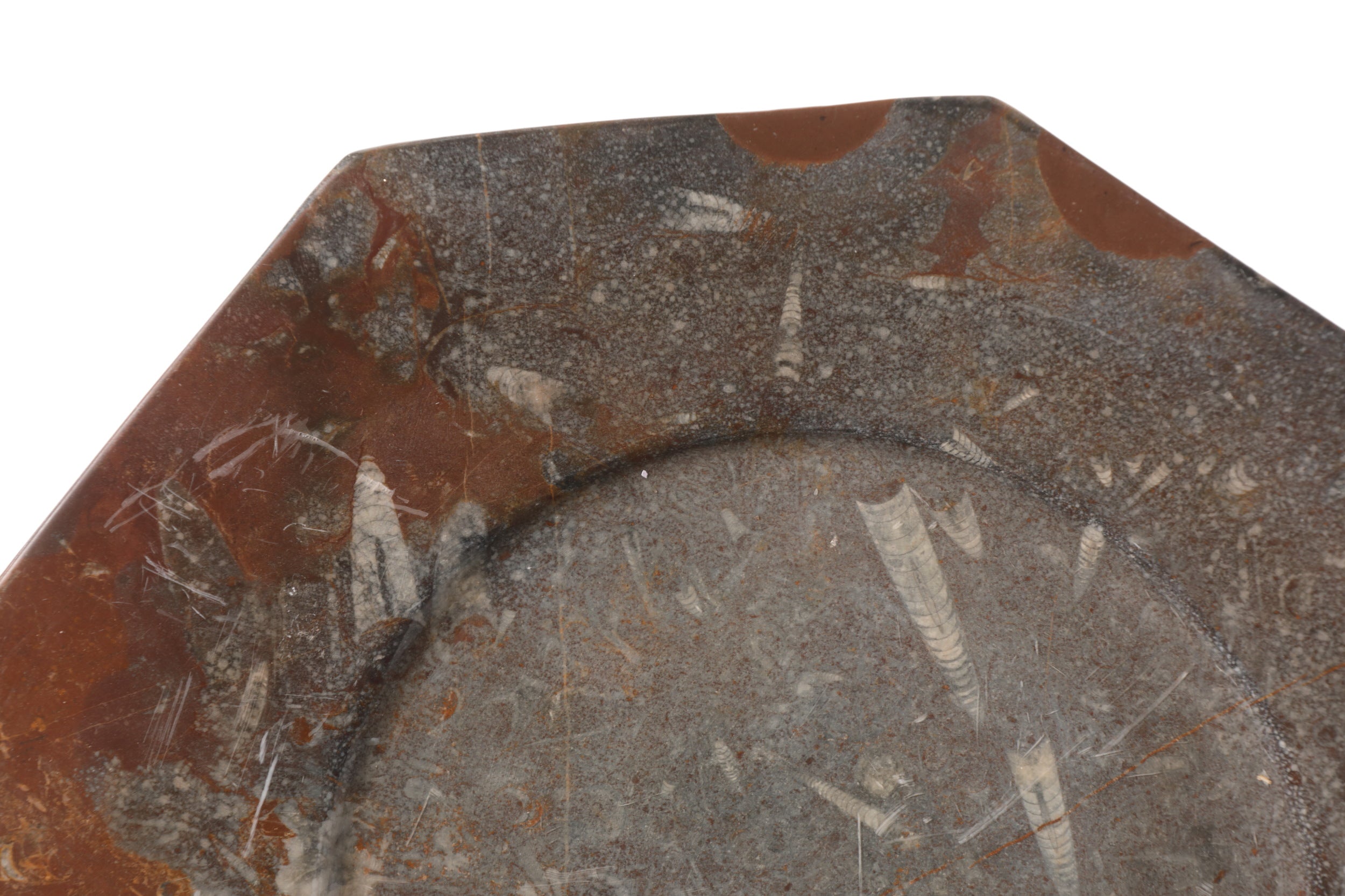 Pair of stone and fossil plates from the 70s