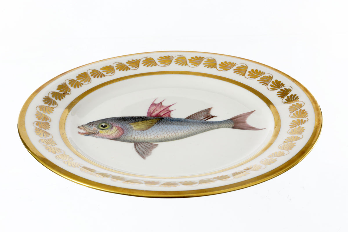 Pair of 19th-century Sèvres porcelain plates with fish motifs