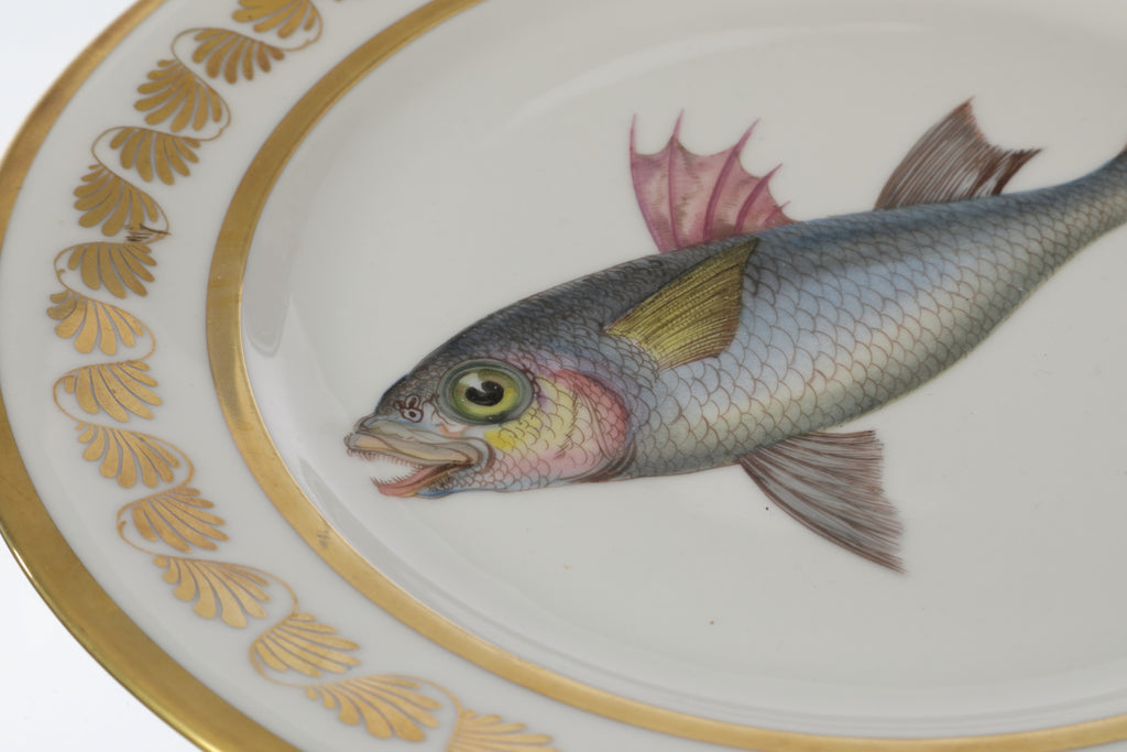 Pair of 19th-century Sèvres porcelain plates with fish motifs