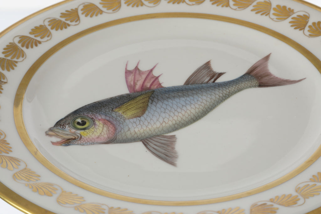 Pair of 19th-century Sèvres porcelain plates with fish motifs