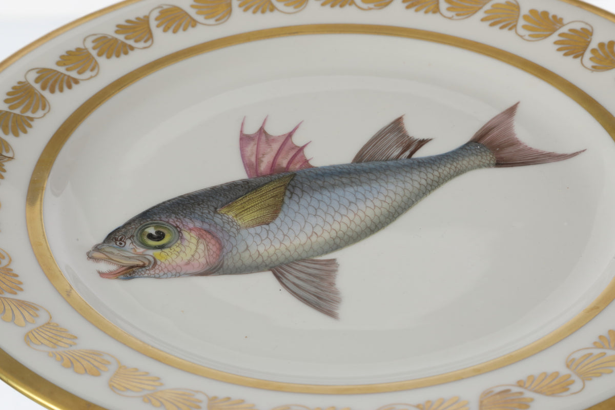 Pair of 19th-century Sèvres porcelain plates with fish motifs