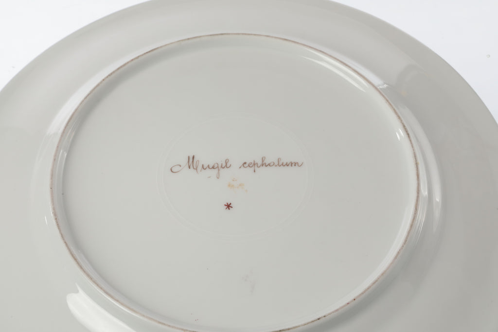 Pair of 19th-century Sèvres porcelain plates with fish motifs