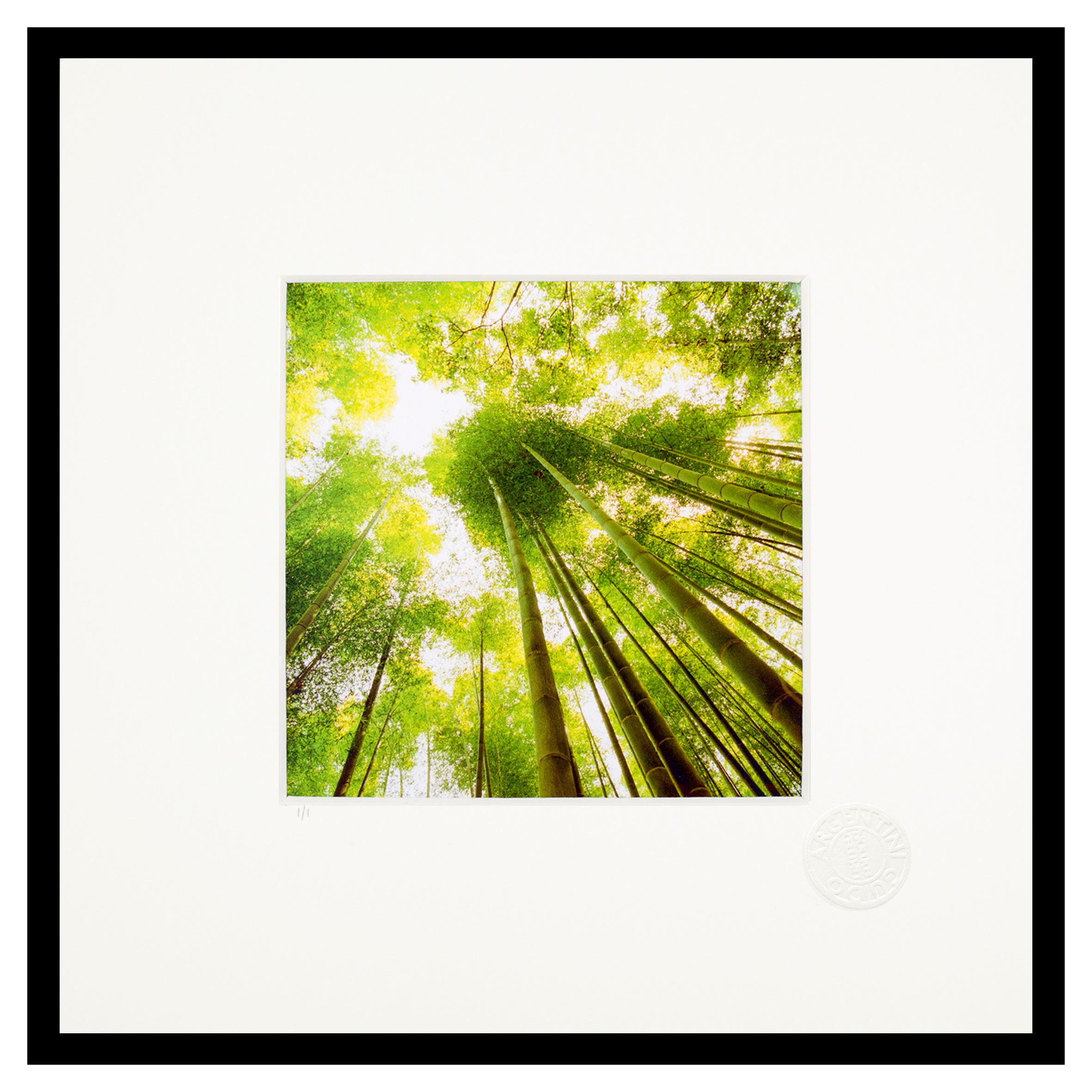 Indigo Guido Argentini green bamboo