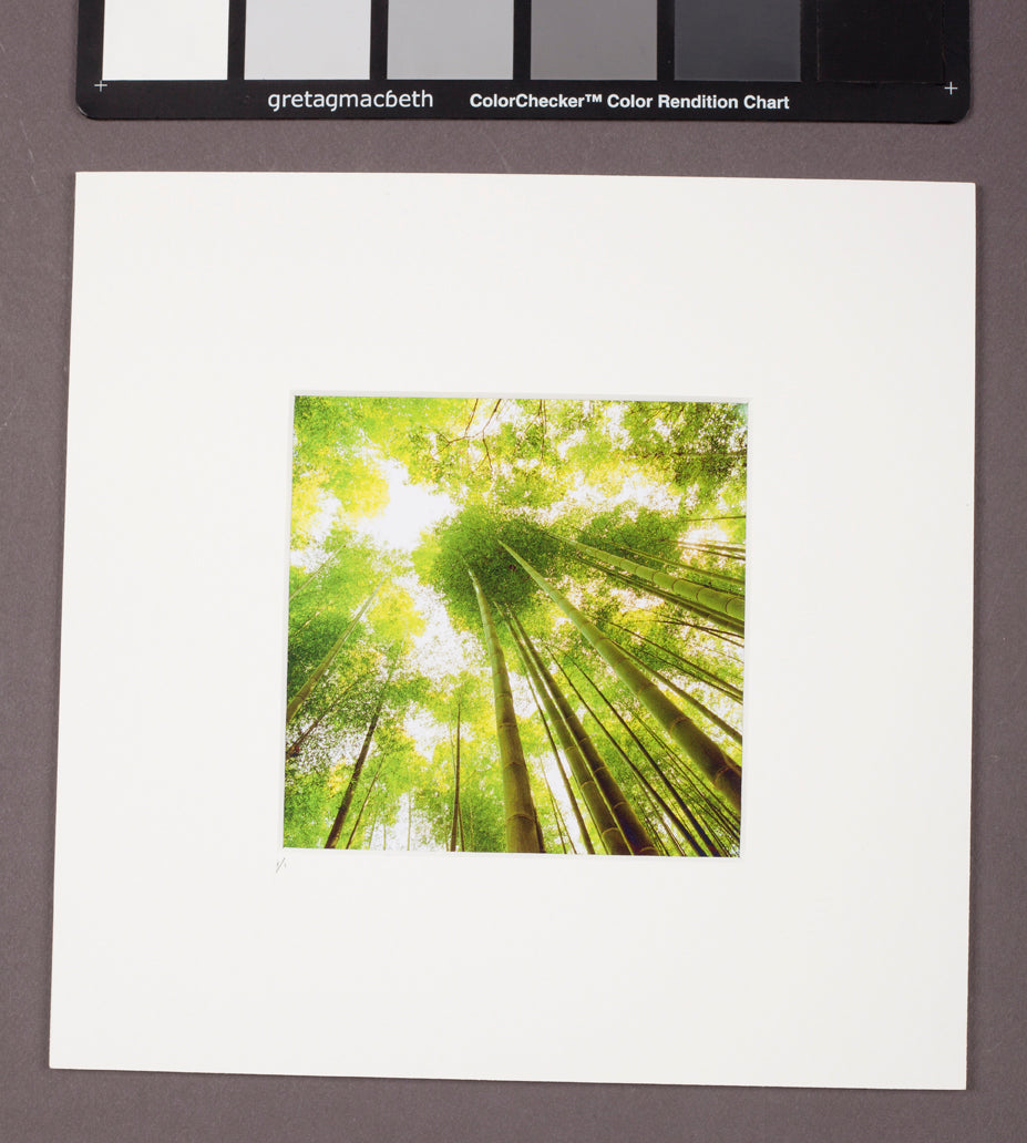 Indigo Guido Argentini green bamboo