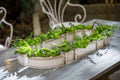 Large centerpiece Pittoria by Doccia Richard Ginori