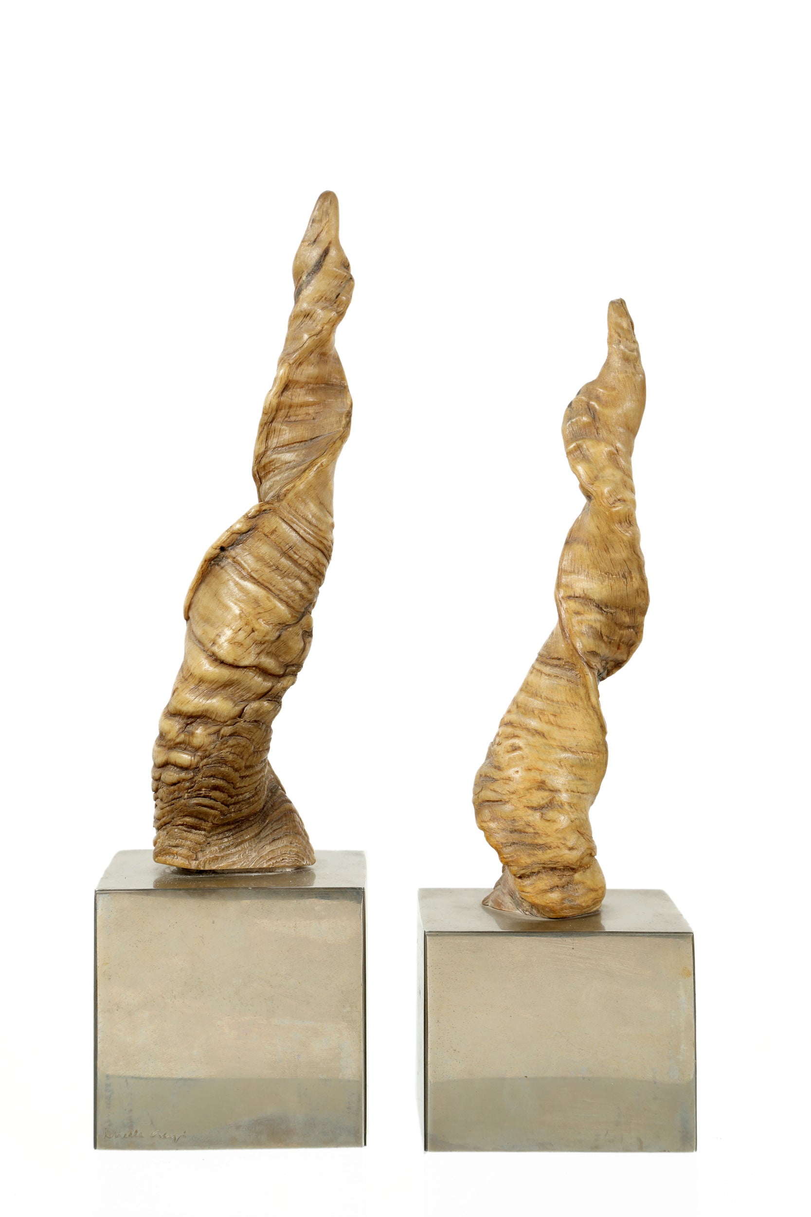 Pair of Gabriella Crespi horns from the 70s