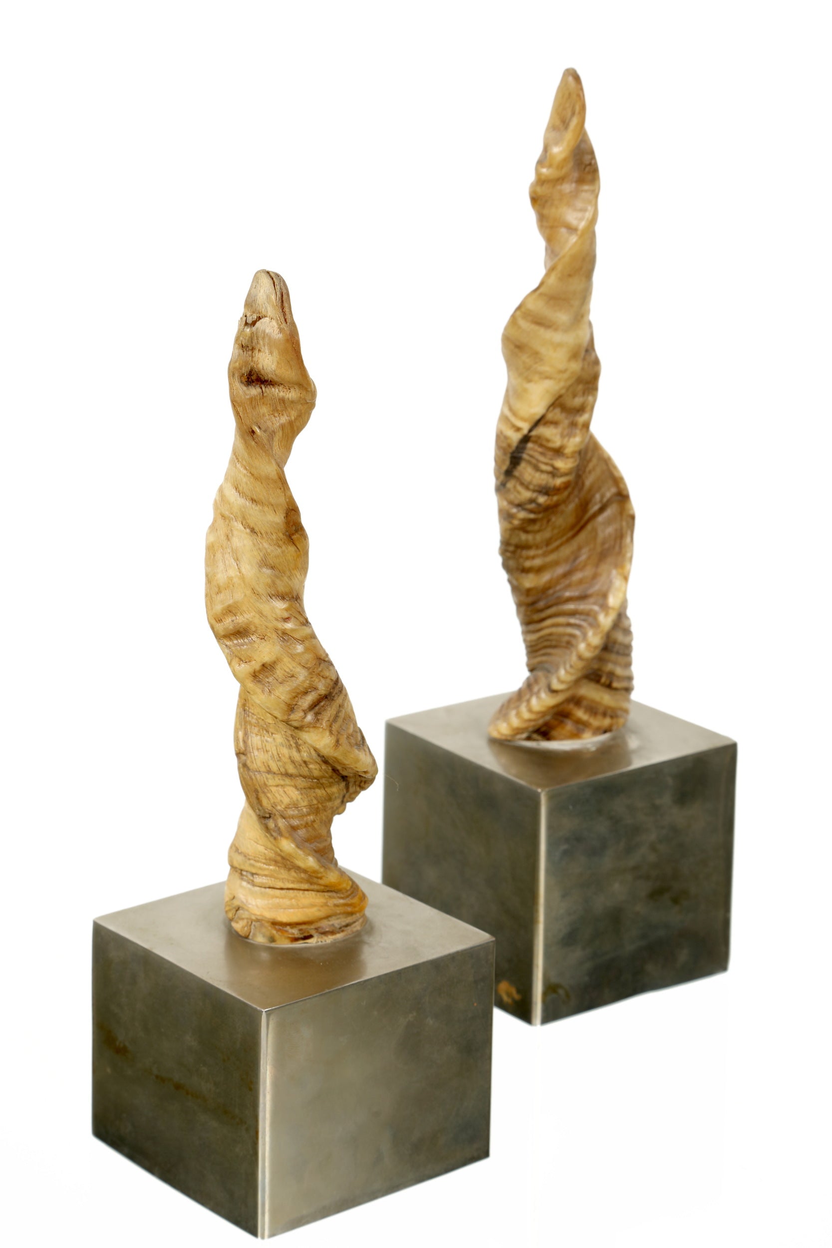 Pair of Gabriella Crespi horns from the 70s