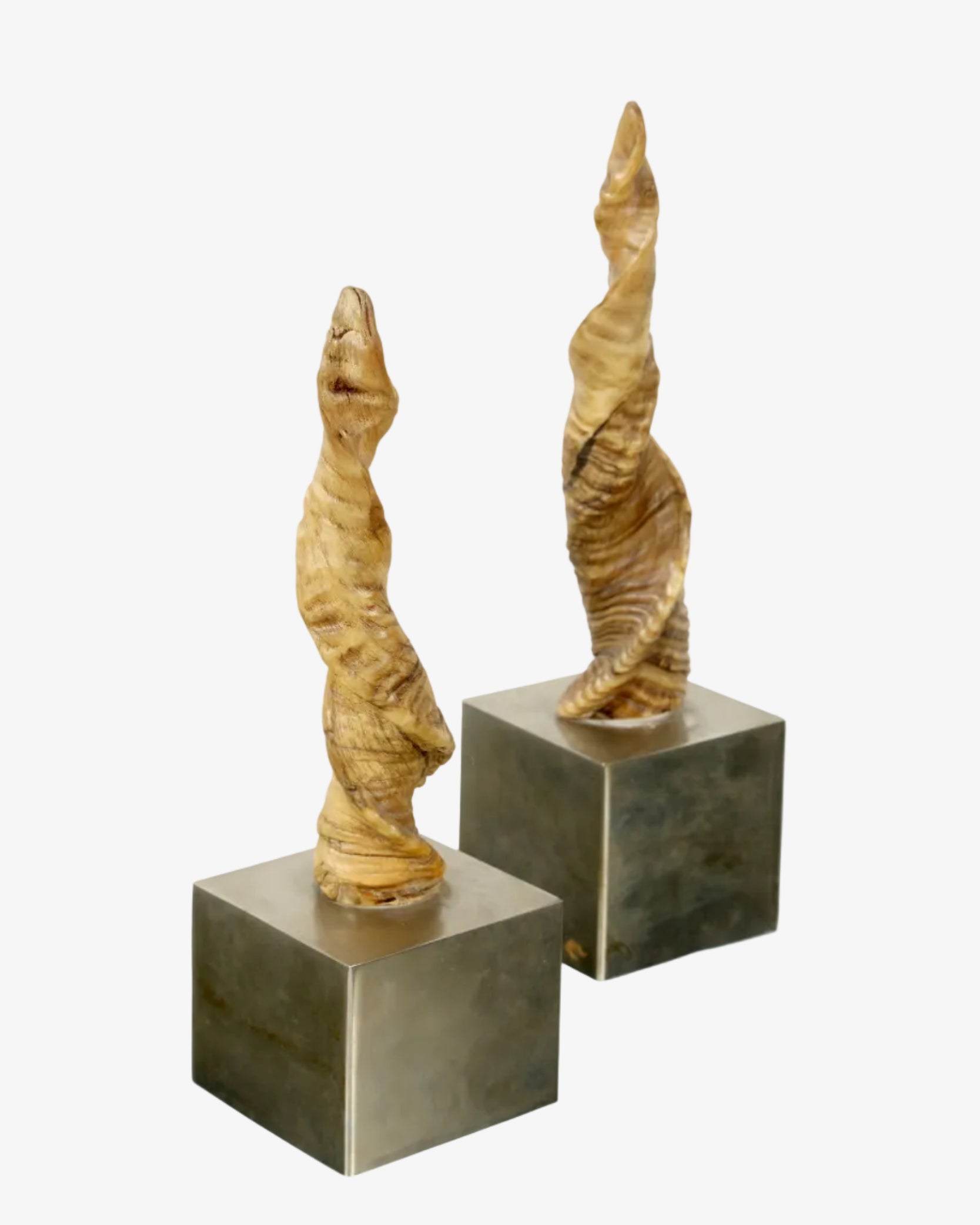 Pair of Gabriella Crespi horns from the 70s