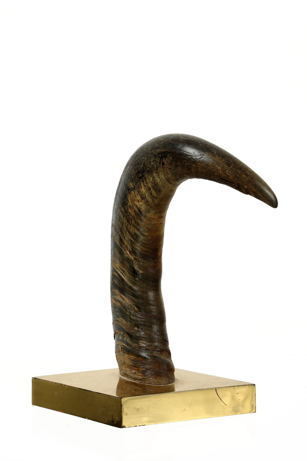 Gabriella Crespi horn sculpture from the 70s 