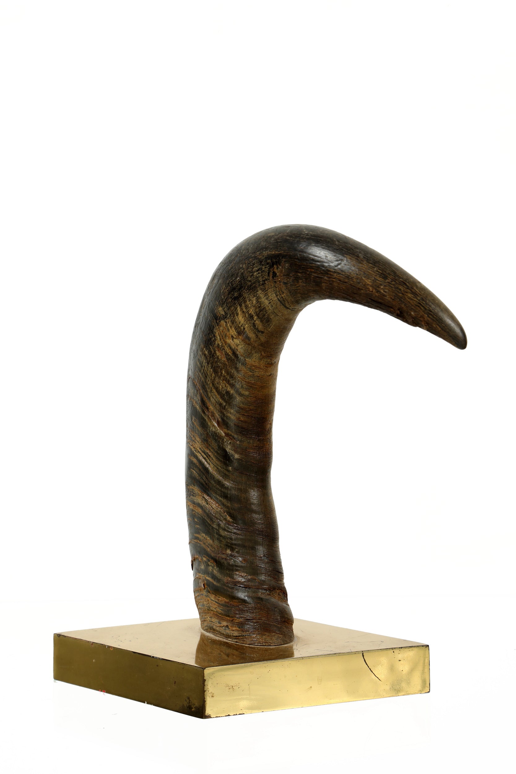Gabriella Crespi horn sculpture from the 70s 