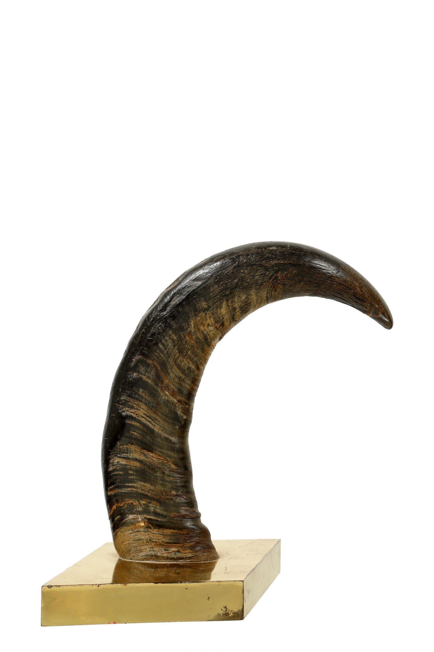 Gabriella Crespi horn sculpture from the 70s 