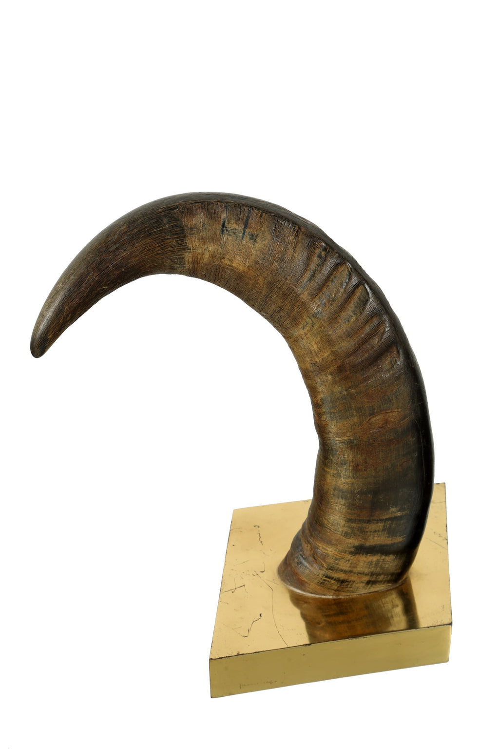 Gabriella Crespi horn sculpture from the 70s 