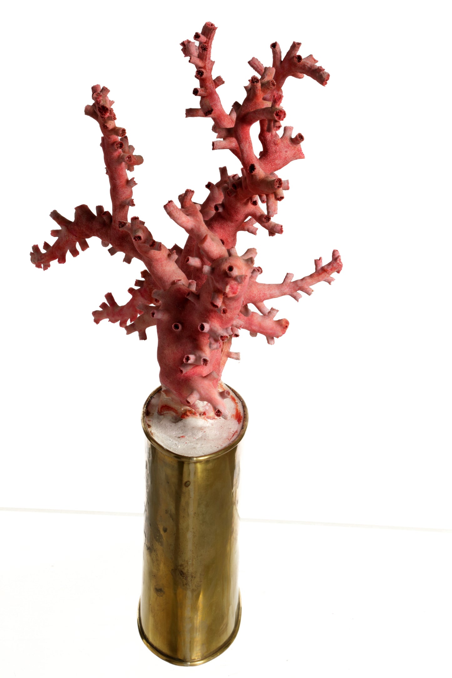 Coral composition 70s