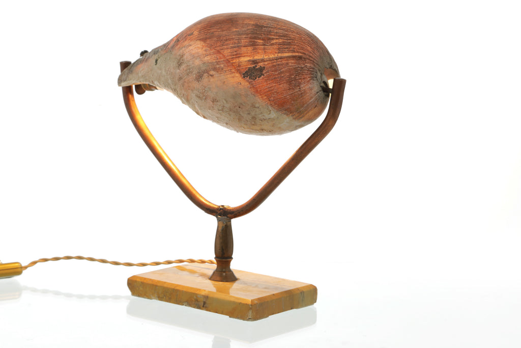 Lampada da tavolo conchiglia anni 50