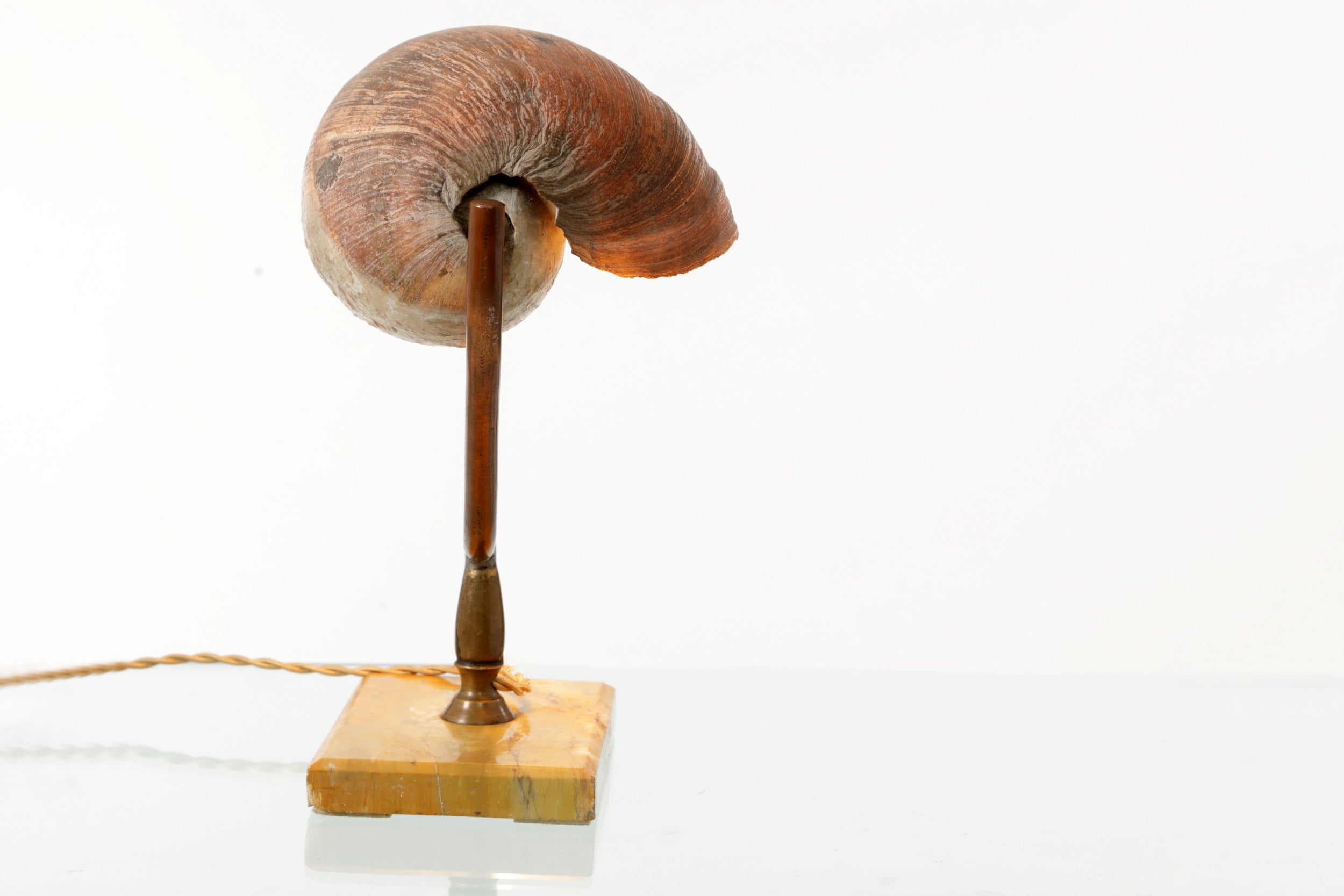 Lampada da tavolo conchiglia anni 50