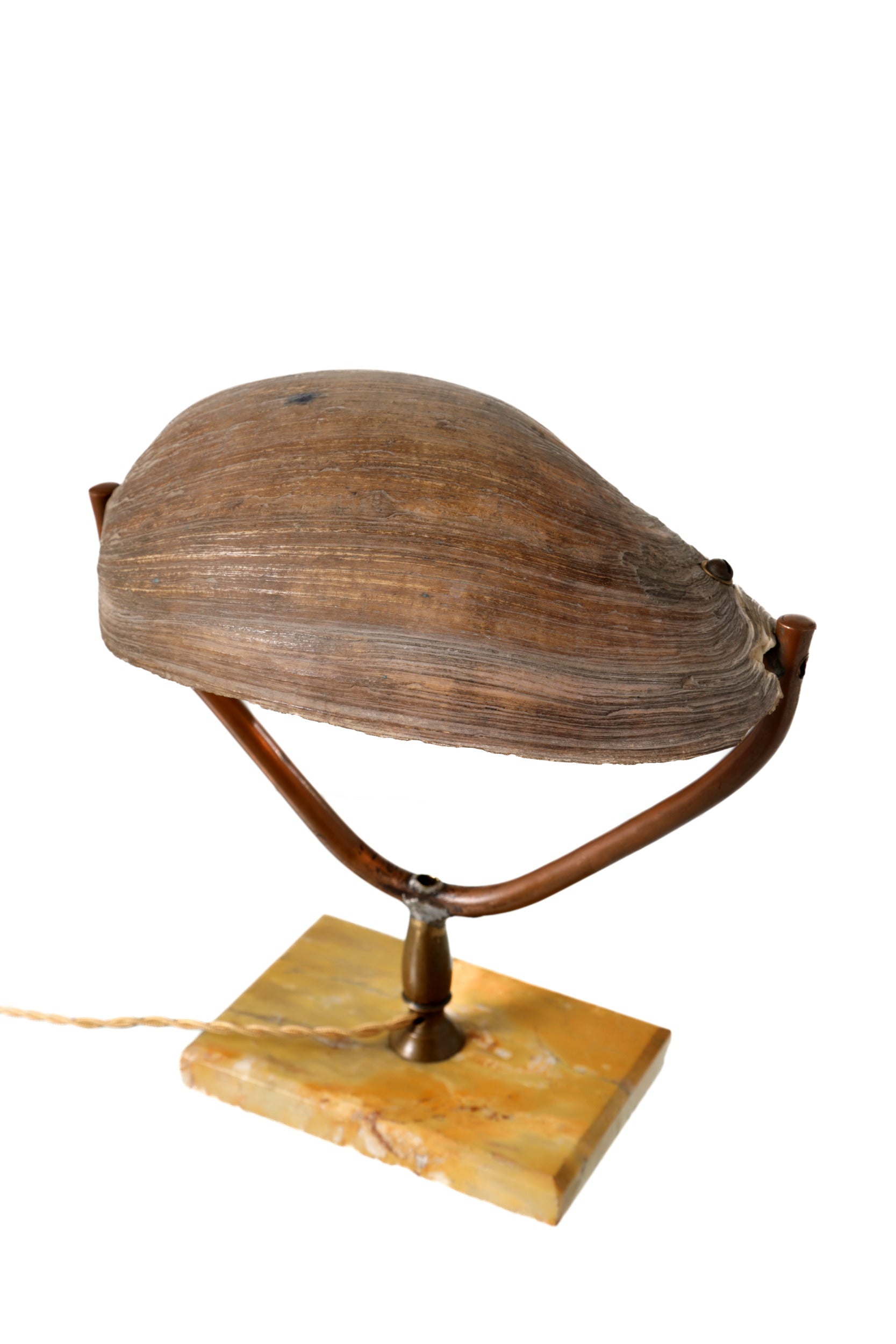Lampada da tavolo conchiglia anni 50