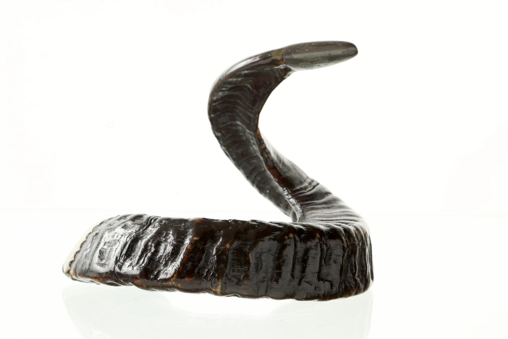 Scatola in ottone e corno fine 800