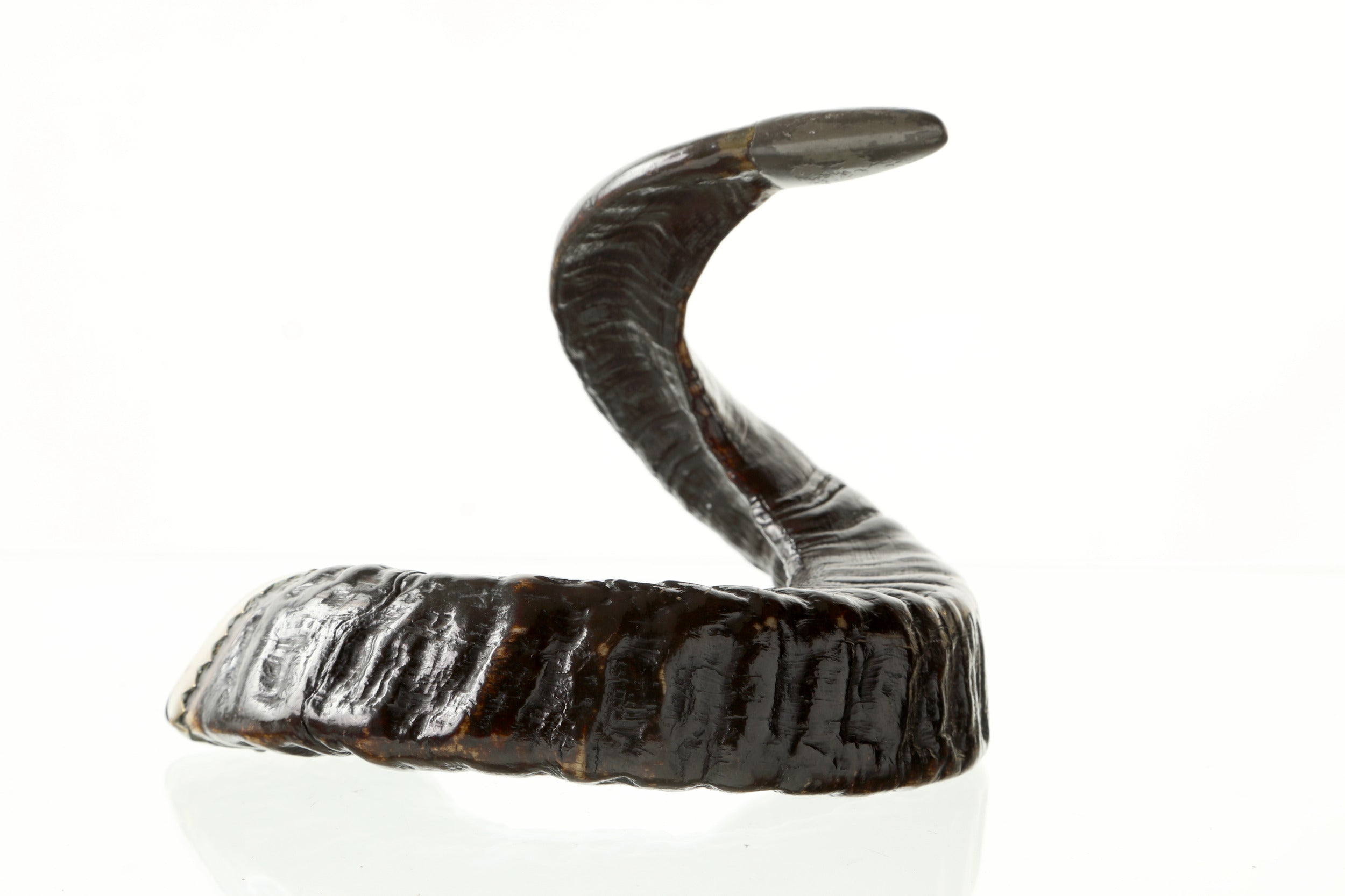 Scatola in ottone e corno fine 800