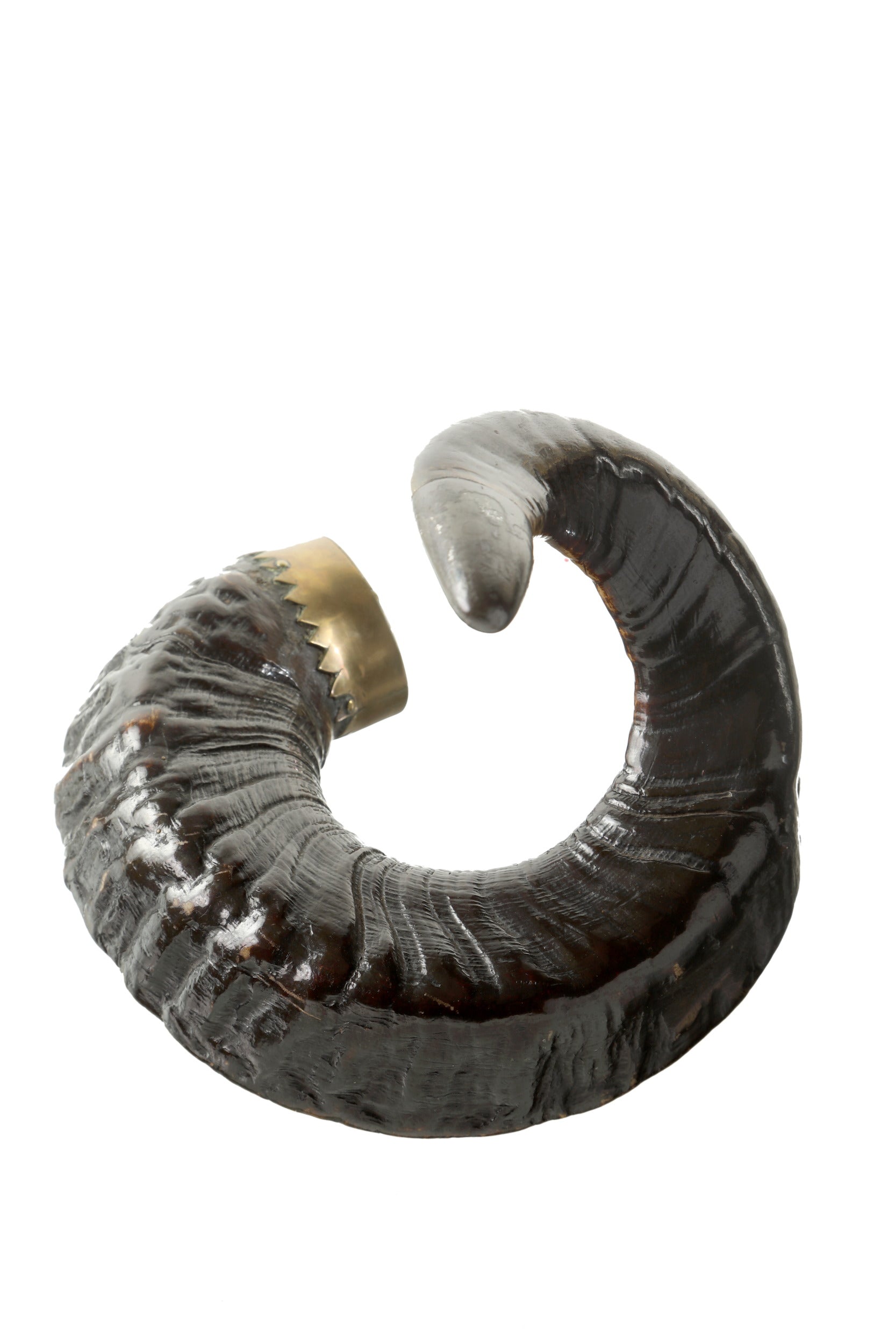 Scatola in ottone e corno fine 800