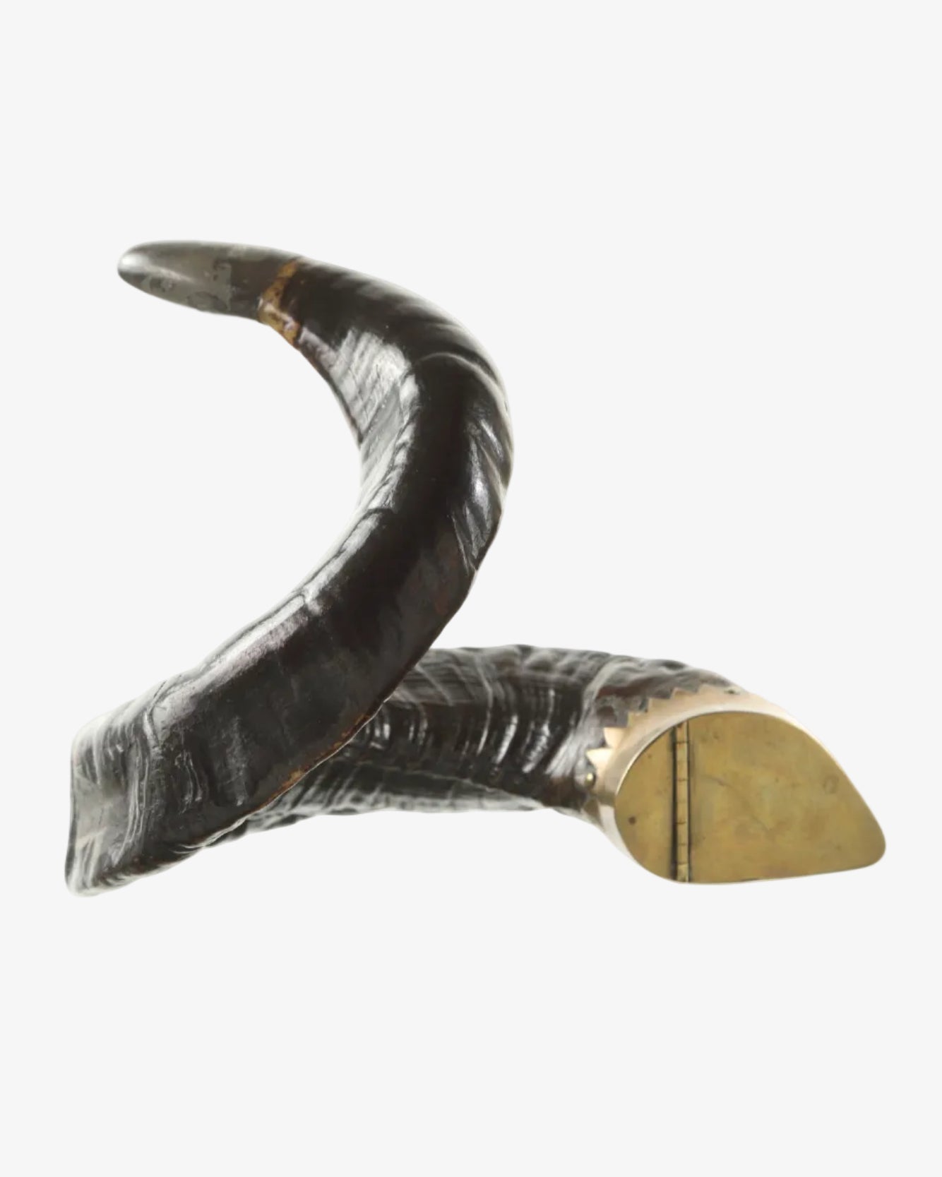 Scatola in ottone e corno fine 800