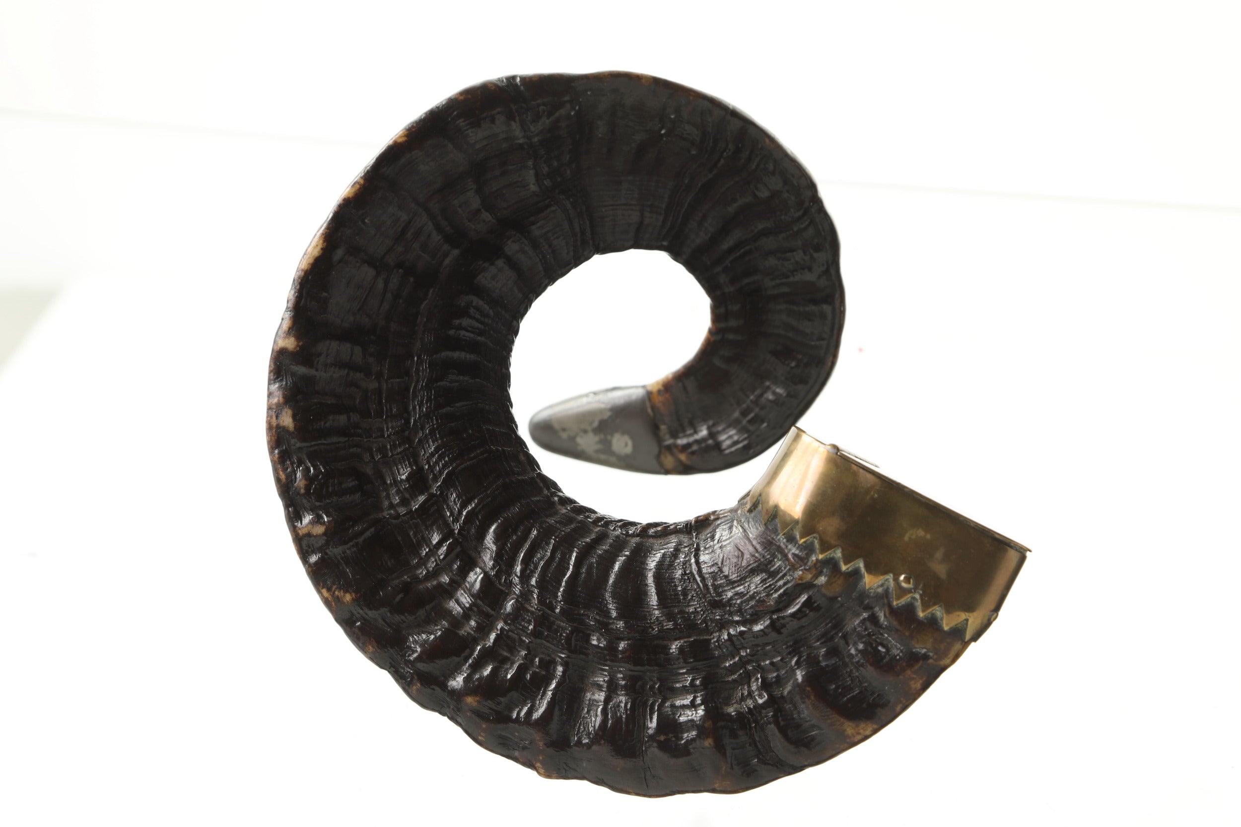 Scatola in ottone e corno fine 800