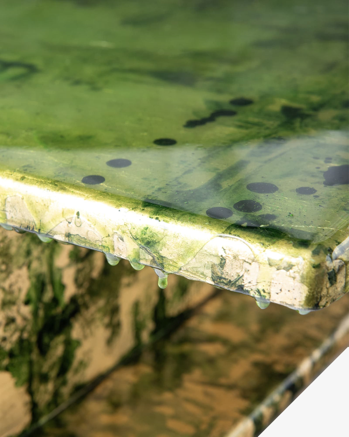 H Verde - Livia Rebecchini Interiors per COALAN Art Designers